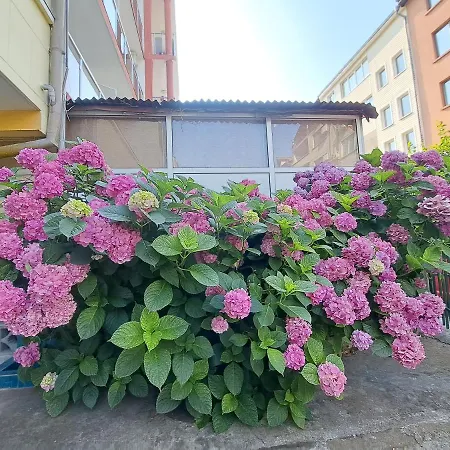 Summer - Sunny Primorsko