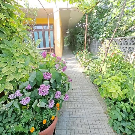 Apartment Summer - Sunny *