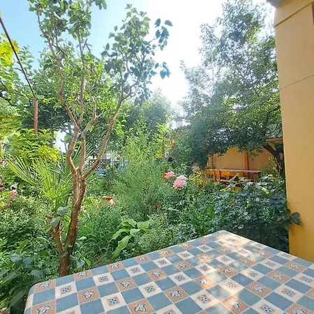 Summer - Sunny Apartment